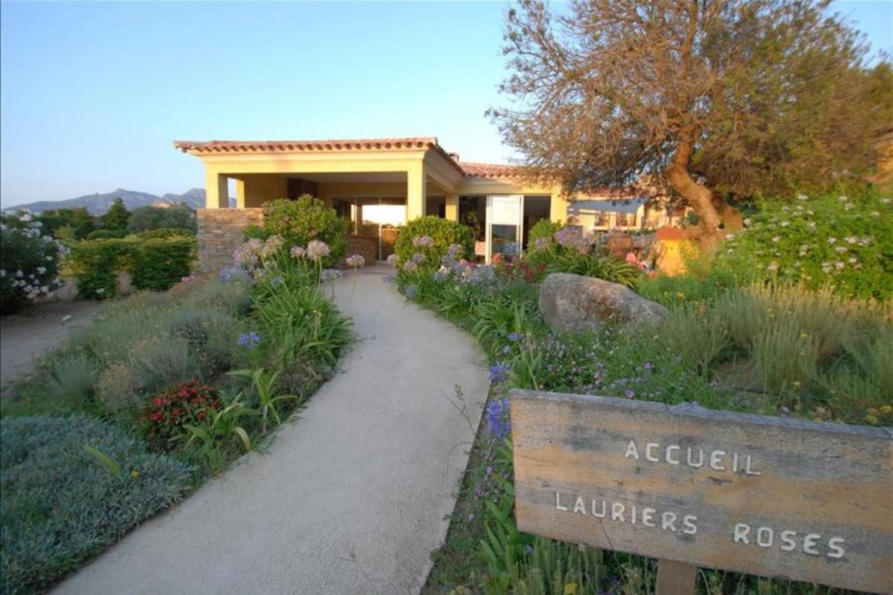 Location De Vacances Olivier Jardin Privatif Et Piscine Chauffee Partagee Calvi  Dış mekan fotoğraf